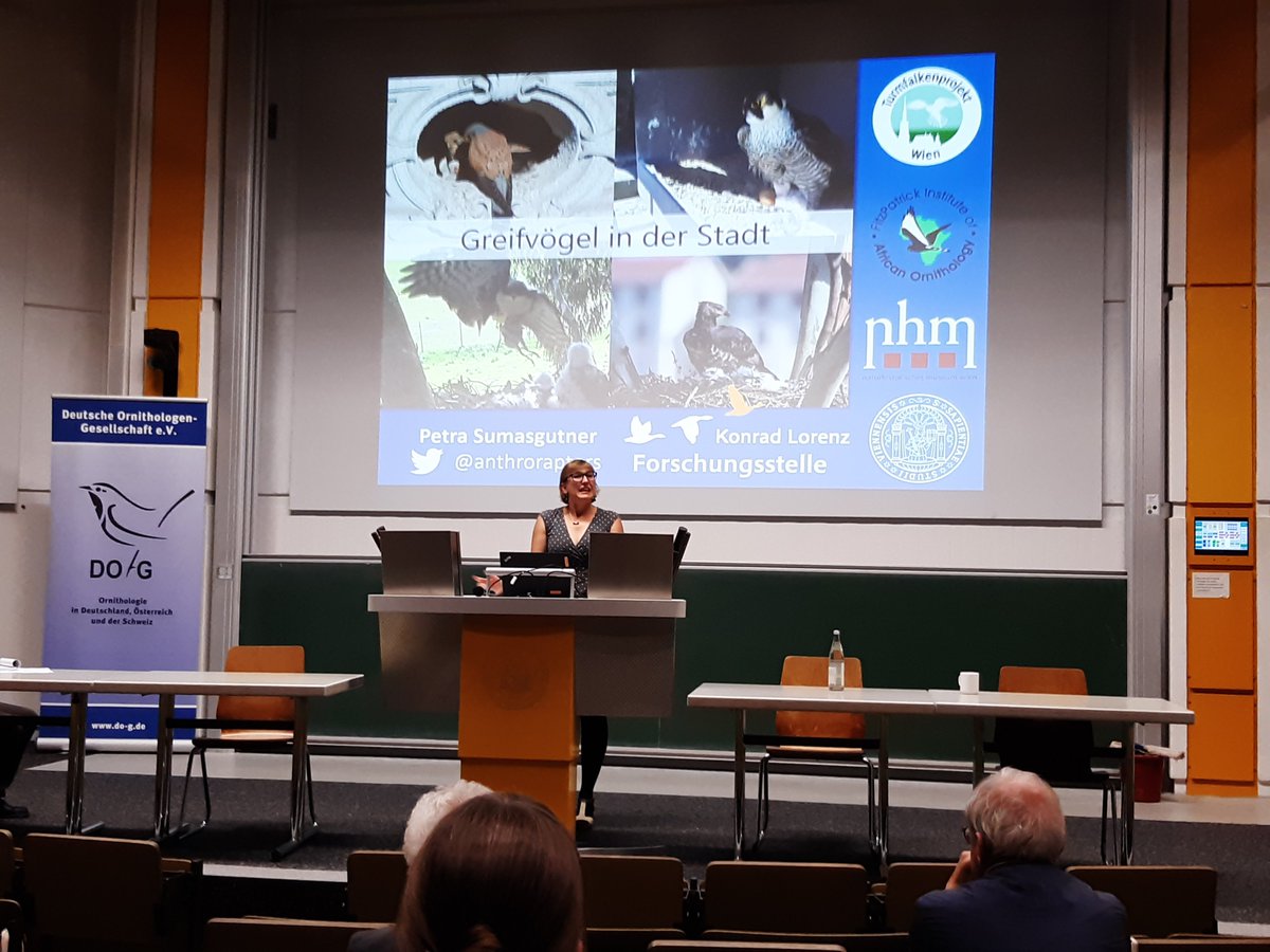Petra Sumasgutner (#Wien) berichtet in ihrem Plenarvortrag auf der 156. Jahresversammlung der DO-G (do-g.de) über ihre spannenden Forschungen an verschiedenen Greifvogelarten  in Wien, Kapstadt und anderen Städten.
<a href="/PeSumas/">Petra Sumasgutner</a>