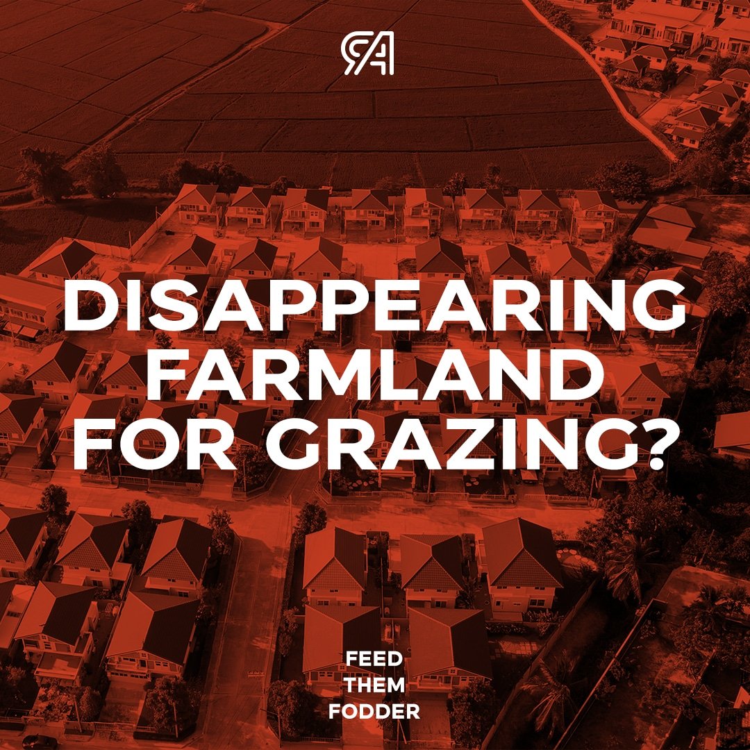 AgRenaissance's tweet photo. The American Farmland predicts that as much as 24.4 million acres of could be lost by 2040. So what can be done to keep our animals eating fresh feed when #pastureland is scarce?

Sprouted #microgreens grown in a #verticalfarming system 🌱. Nutritious feed, space efficient. https://t.co/b832SxC6M0