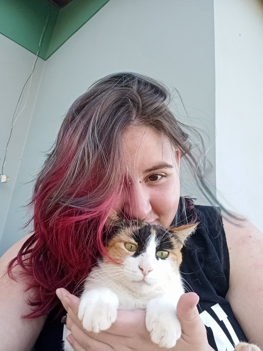 Kit__Cat__'s tweet image. CLASSIFIQUE SEU PET 

raça: gato
nome: mila
beleza: 100000/10 imagens auto explicativas
inteligência: 5/10 neutra
raiva: -10/10 
já mordeu alguém: nem sabe o que é isso
apelidos: milasquei