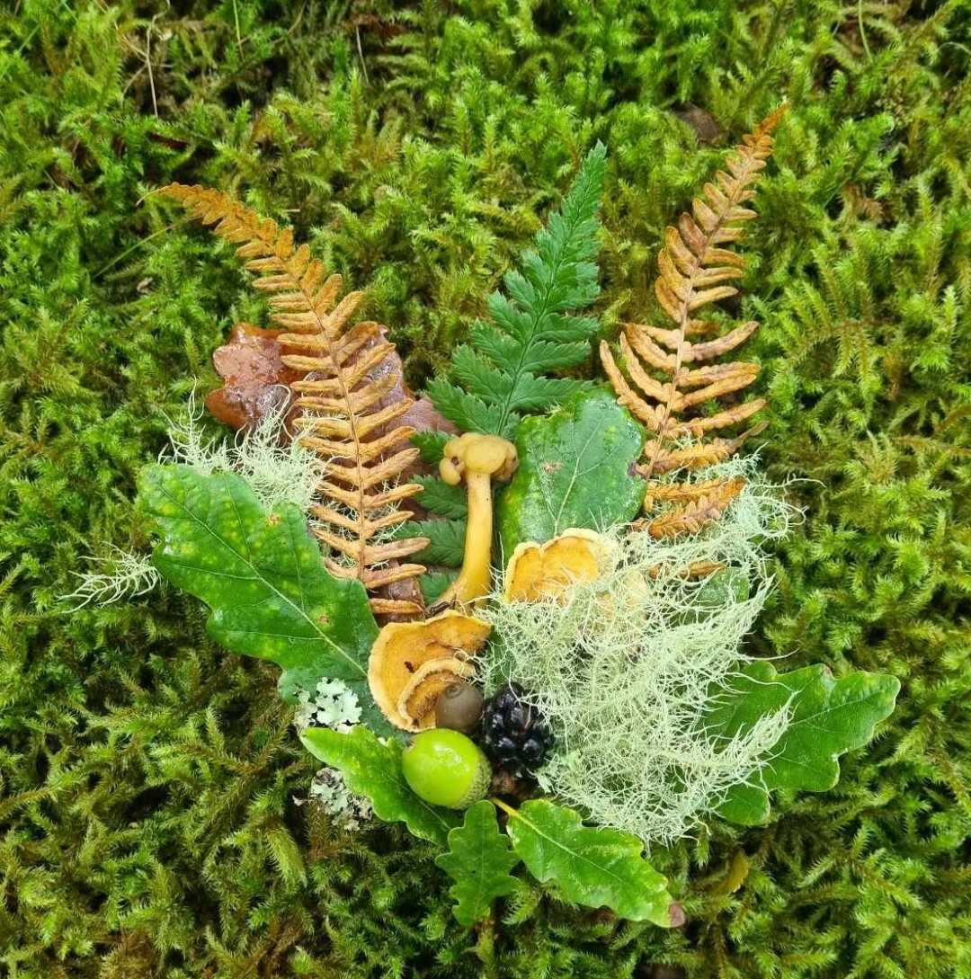 Exciting news...plans next week where you can have your say on one of the most talked about fungi topics on our events...but more about that soon, in the meantime, have a good weekend.#fungifriday #nature