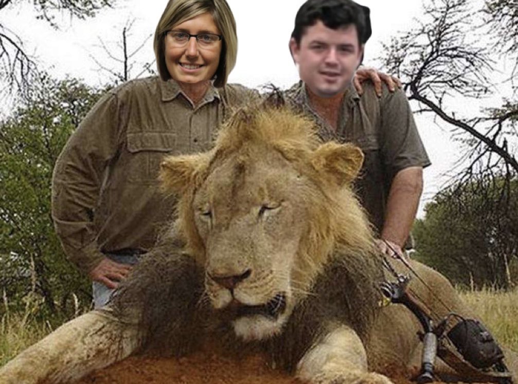 The Ship Sails On 🚢