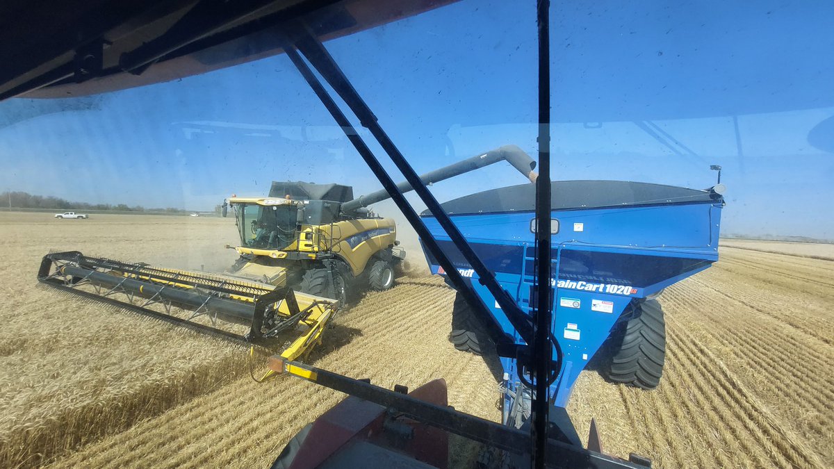 randjblock's tweet photo. Naicam-Spalding Growers Project gathers for wheat #harvest23 and a great community effort that helps provide food relief in areas of severe food insecurity through @Foodgrains 
#SaskAg
@saskfarmguy @HetSeeds @BourgaultAg @rjcropper @CropProCory 
@CanadaDev @GAC_Corporate https://t.co/zFICwqs8GF