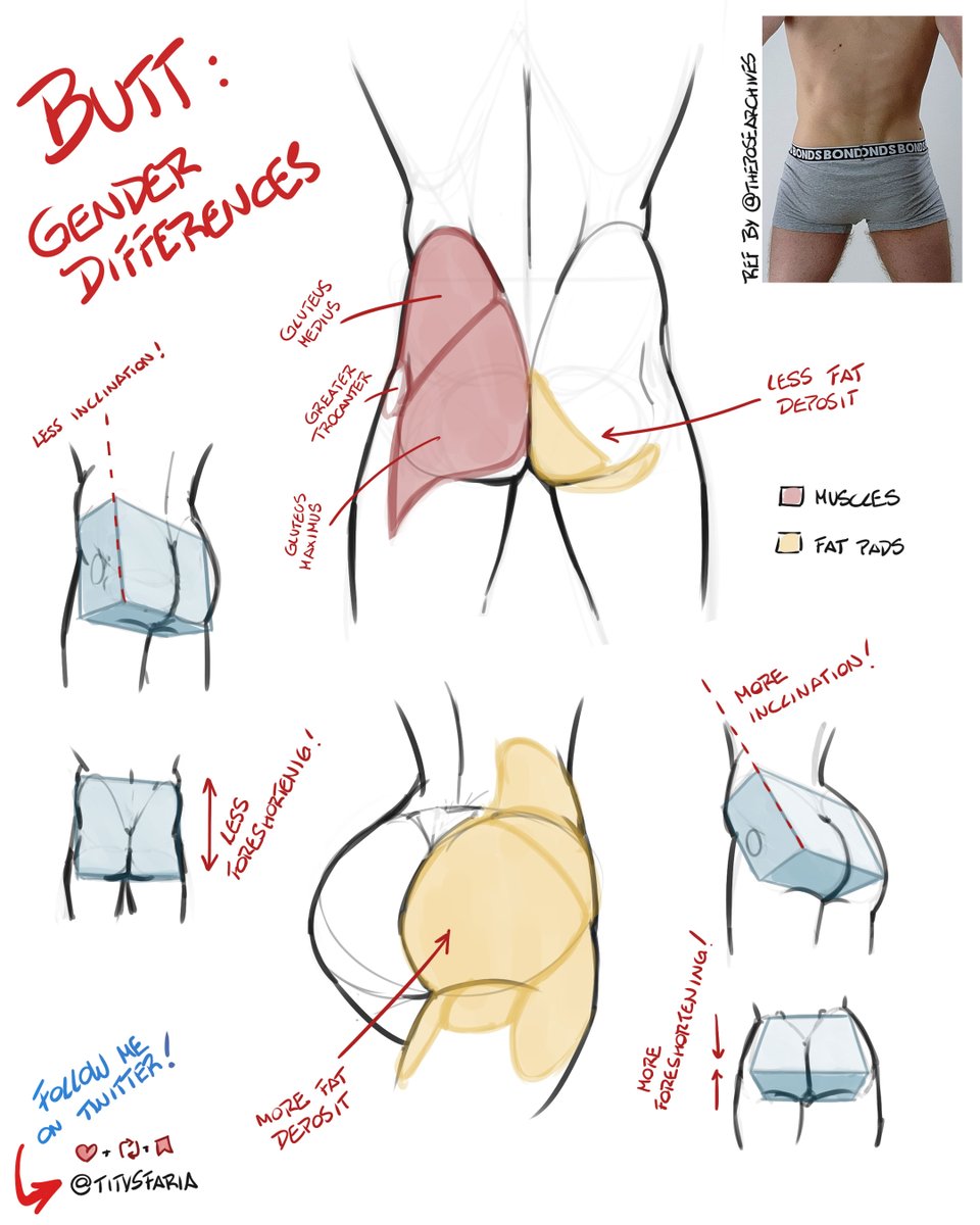 yeeyy! We keep growing! just 500 followers to reach 5000! RT n bookmark aprecciated!

I wasnt planning to do more butt studies, but <a href="/theposearchives/">The Pose Archives ⚔️</a> guy said he lacks confidence bout his own body beulty, so I decided draw his butt for ya guys and ladies show some love. ^^