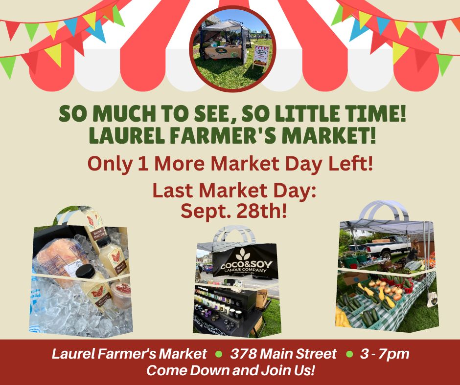 lrlmarketonmain's tweet image. #1MoreMarketDay #ShopSmallShopLocal