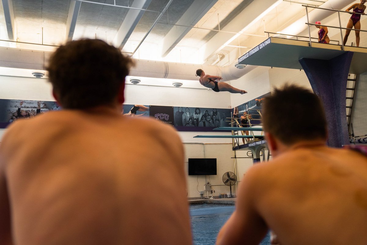TCUswimdive's tweet photo. Intersquad ✅… season 🔜

#GoFrogs | #TrustProcessWorkFamily https://t.co/FQ5iMQWbVo