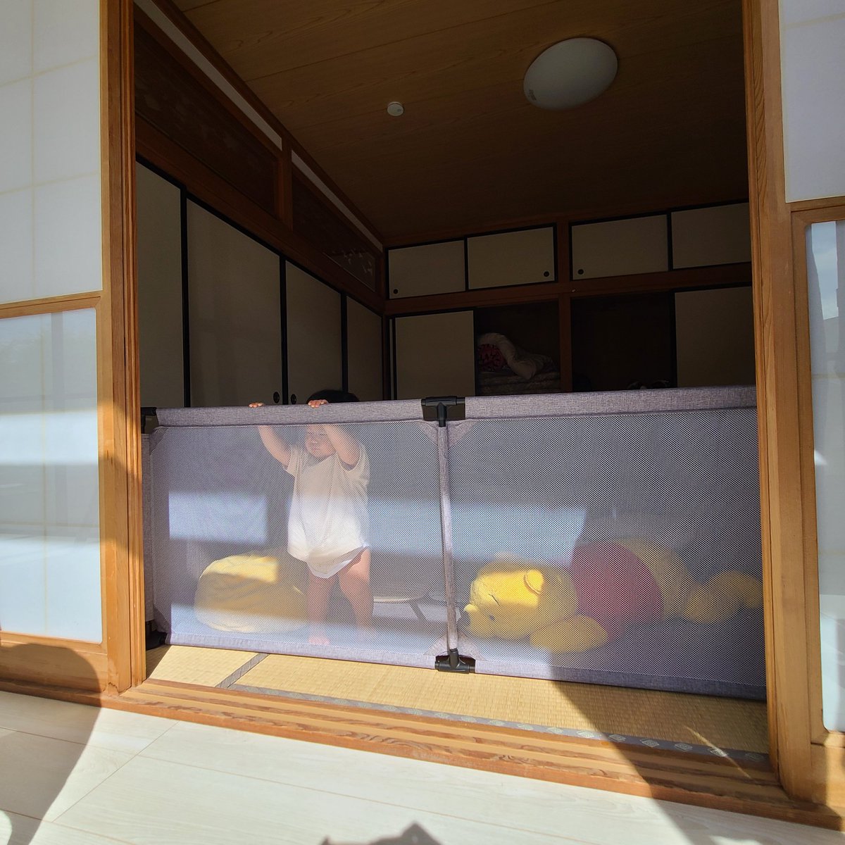 お天気最高🌞
かいちゃんは車いじり
娘と私は家から眺めながらゴロゴロ
秋風気持ちいい🌿