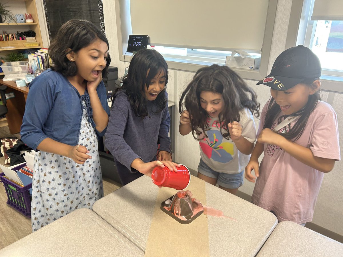 What a day! 4-2 raised $565 in the fight against cancer, played algebra games, exploded some volcanos as we learned about igneous rocks, learned how to choose a good book at the library and ended the day with Phys. Ed.! Phew! Have a great weekend 4-2, you earned it! ❤️<a href="/ddwhdsb/">Dr. David R. Williams Public School</a>
