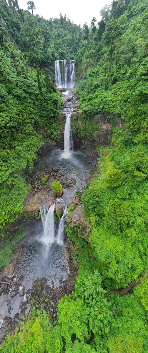 #DavaoOriental
#ThePhilippines 
#BecomingFilipino #NatureBeauty 
#NaturePhotography 💚🌿💚