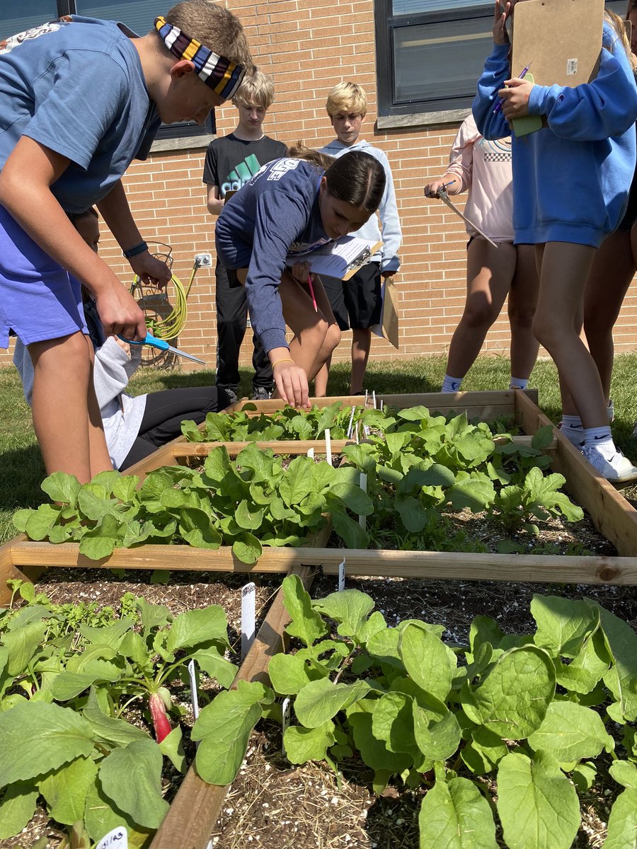 So grateful for our #schoolgardens which enhance the Principles of Foods classroom! #pentacareercenter <a href="/jerrygladieux/">Jerry Gladieux</a> <a href="/EwersEd/">Ed Ewers</a>