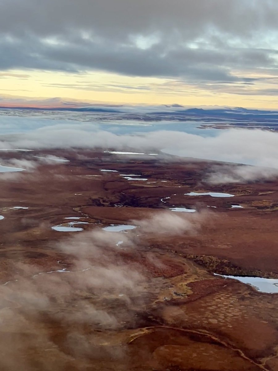 HauserDonna's tweet photo. 💜 Kotzebue! https://t.co/nZKKekJsJE