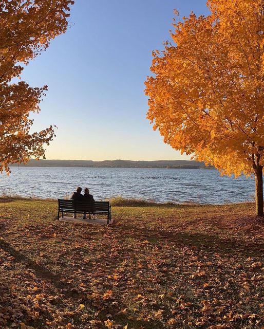 Those first day of Fall vibes. 🍁 The colors of the leaves will be changing soon, so we created a blog to help you find the best spots to see them! Click below to learn more. explorelakeguntersville.com/5-places-to-se… #explorelakeguntersville #visitnorthal #fall #autumn #nature #visitnorthal