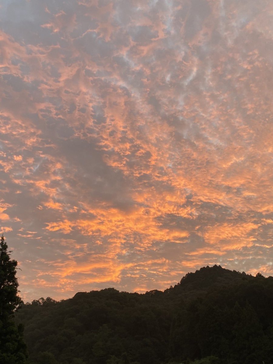 DJSamuraiShadow's tweet photo. 朝焼け

Morning glow https://t.co/mhXtgMzt34