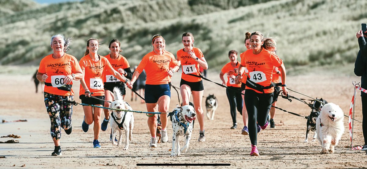 waggyraces's tweet photo. T-shirts have landed!
Most people get their t-shirts on race day and we will also be having a pre-reg &amp; tshirt pick up at the Inn on the Coast on Sat 30 Sept. 
Event details will be emailed at the start of next week.

YOU CAN STILL ENTER:
https://t.co/zUpkCLOcfR https://t.co/b1QP51dCR0