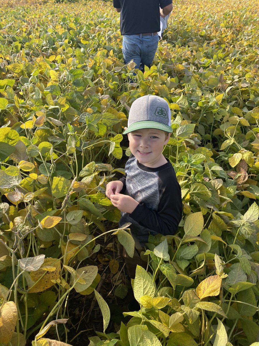 Toddridge Farm Services Ltd. tweet media