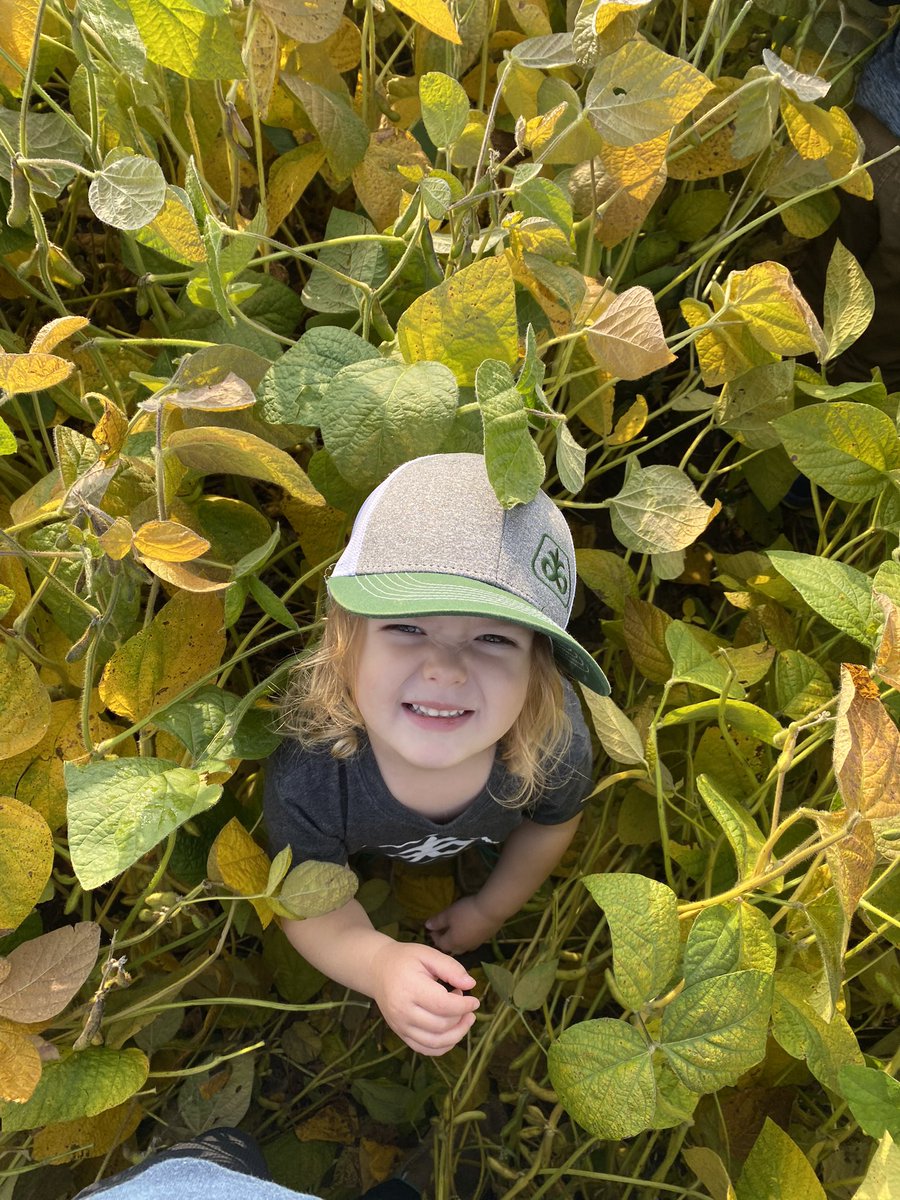 Toddridge Farm Services Ltd. tweet media