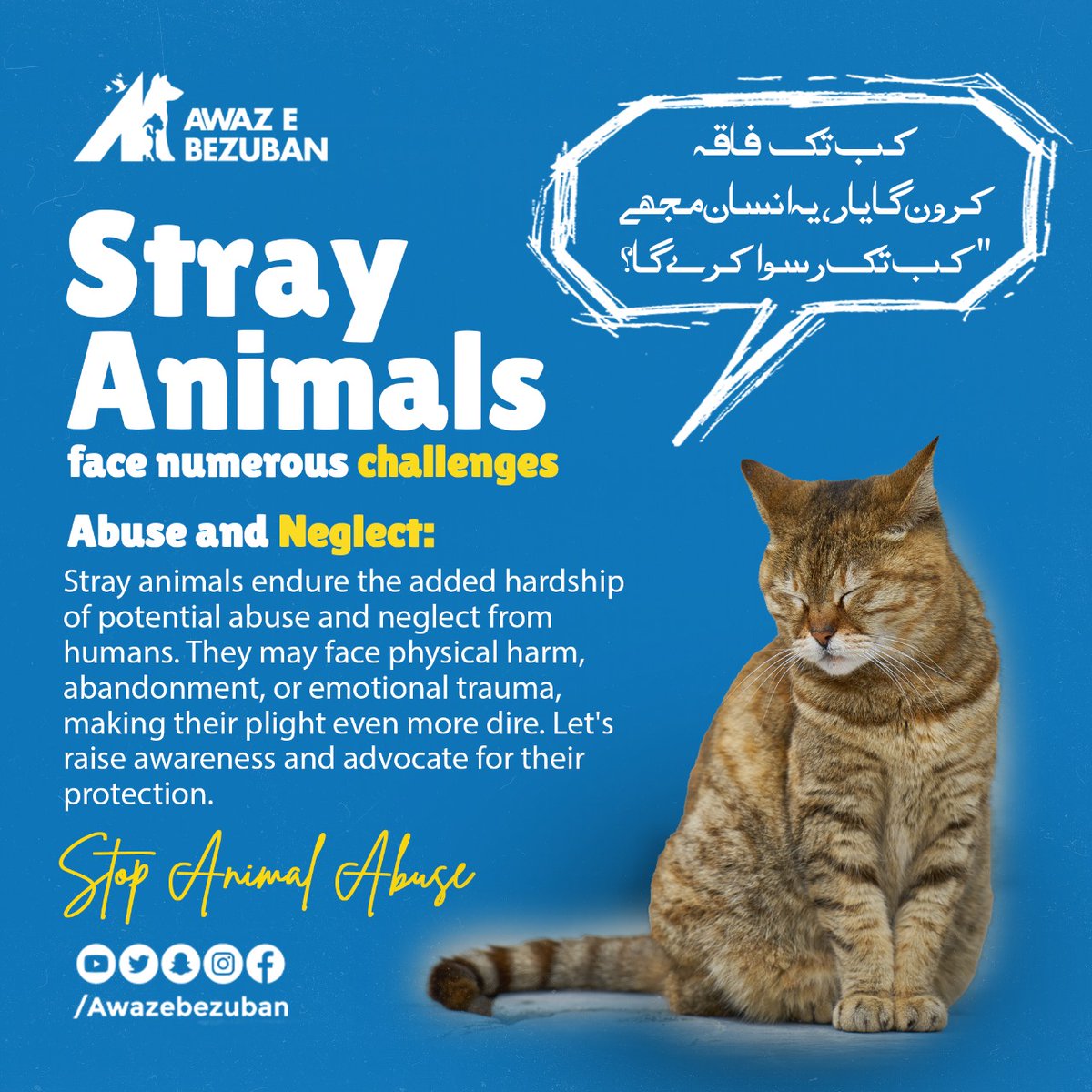 💔 Abuse and neglect shatter the already tough lives of stray animals. Some endure physical cruelty, while others suffer emotional trauma from neglect and abandonment. Let's be their voice, report cruelty, and support rescue organizations dedicated to their rehabilitation.