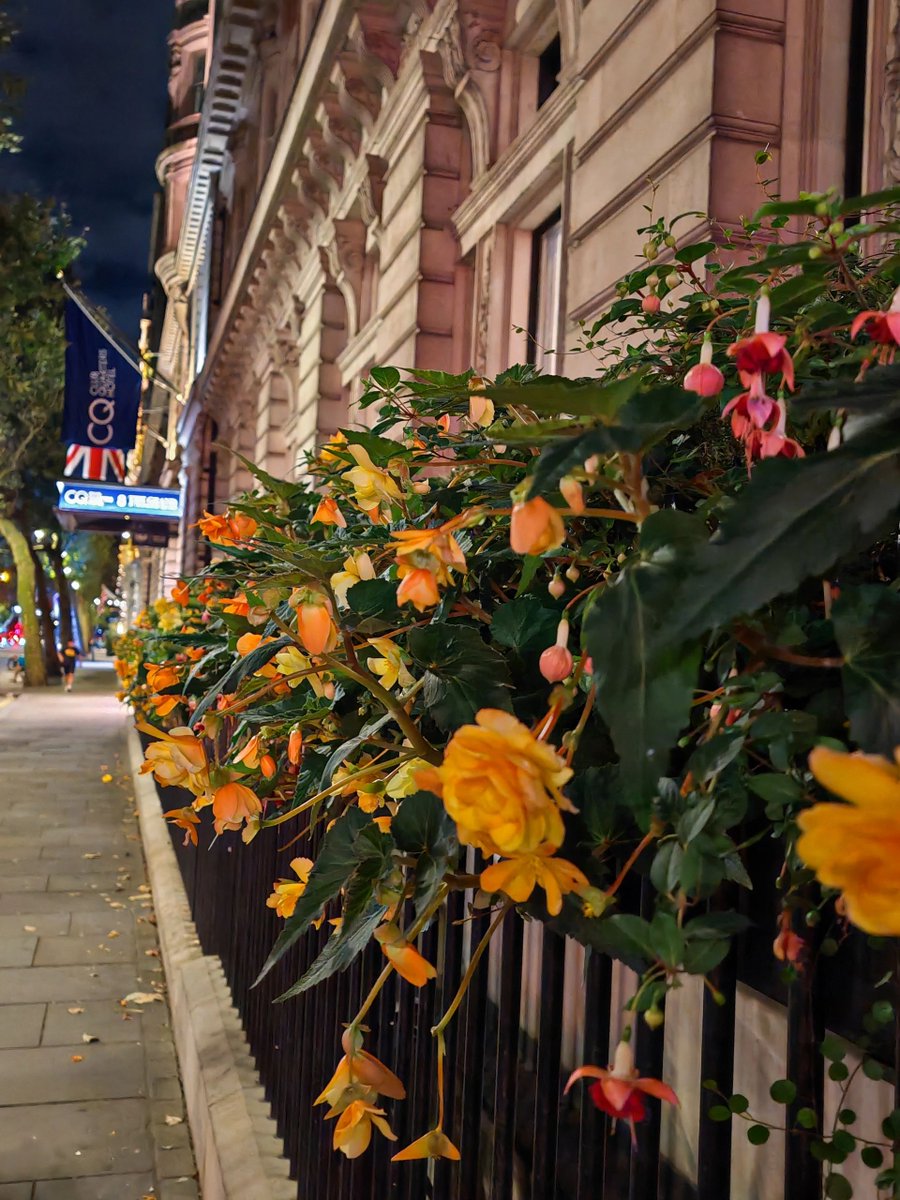 VisitaDallas's tweet photo. If you didn’t come here, you wouldn’t know that London’s night view is so beautiful. https://t.co/c13unpF4c3