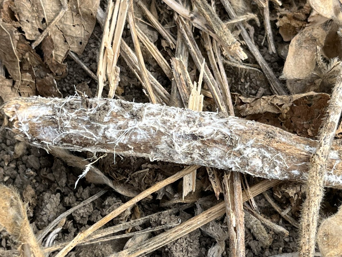 Tom Allen tweet media