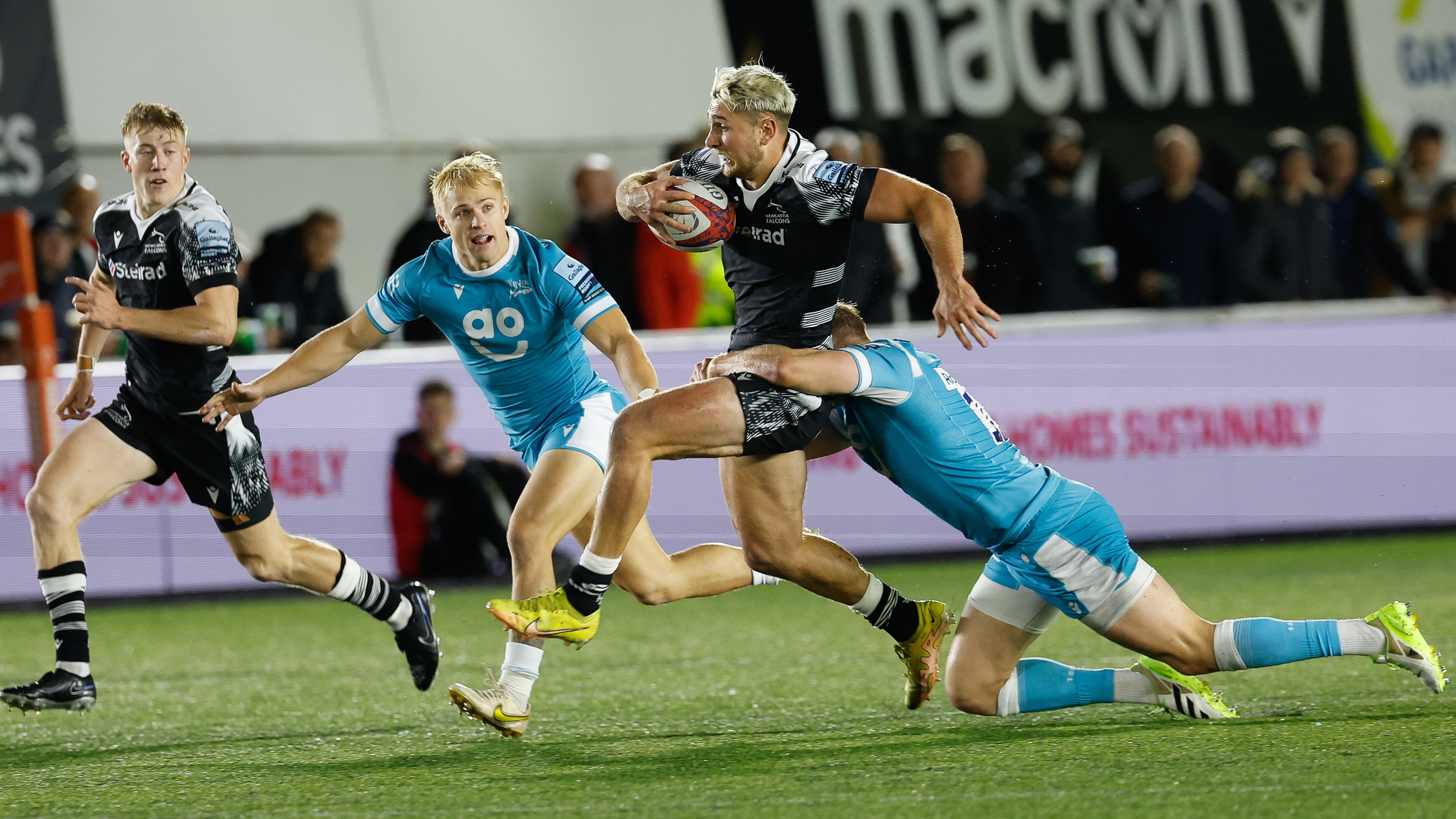 Newcastle falcons hotsell v jersey