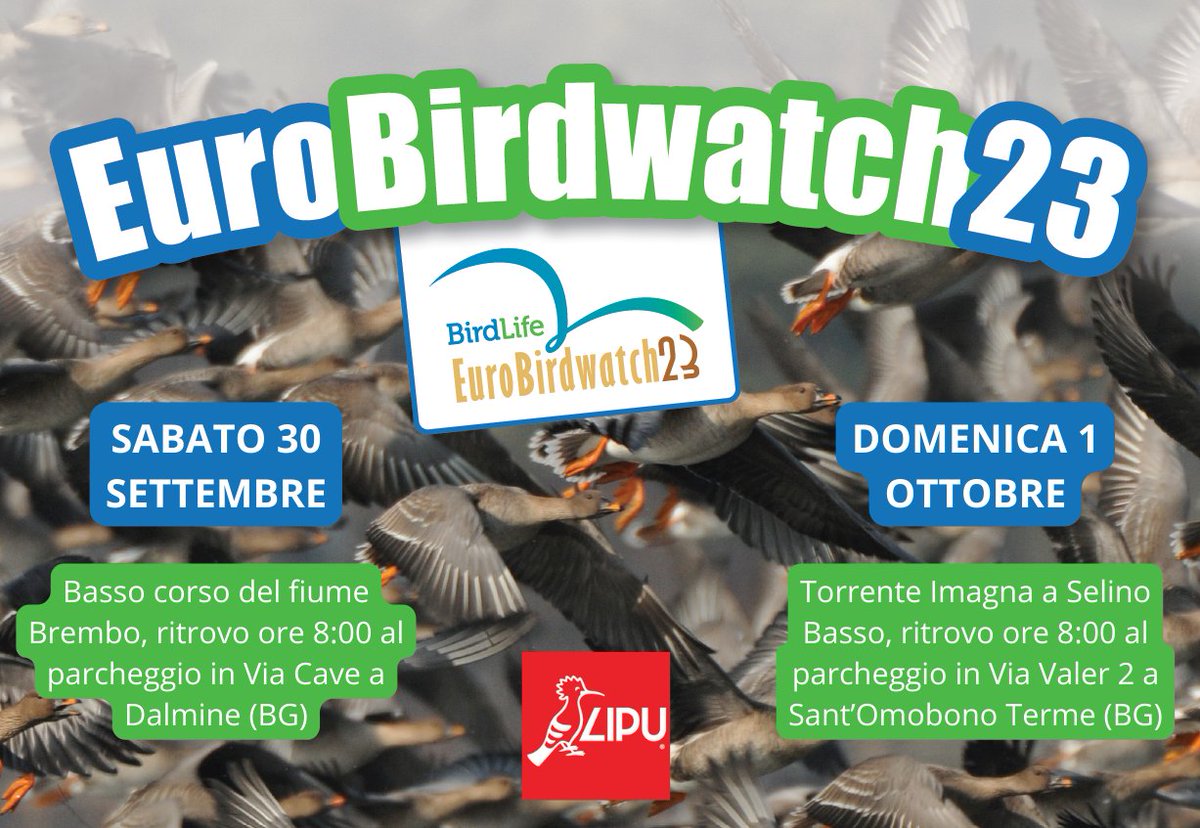 #Eurobirdwatch2023

A #Bergamo, 2 date: 30 settembre sul Brembo, 1 ottobre in Valle Imagna. La partecipazione è gratuita.

Per info scrivere a eventilipubg@gmail.com!

#lipu #birdlife #birdwatching