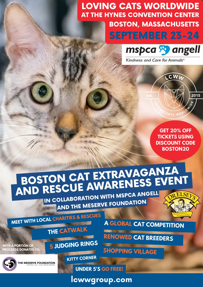 LCWWGroup's tweet image. Who's ready for this weekend!? 😻 Only 1 day until our Boston Cat Extravaganza. 🎉 We have some amazing plans lined up for you all!
🔔 Don't forget: use the code BOSTON20 for an 20% off ticket prices! Discount is only valid with online tickets.
🎟️  buff.ly/47UceRQ