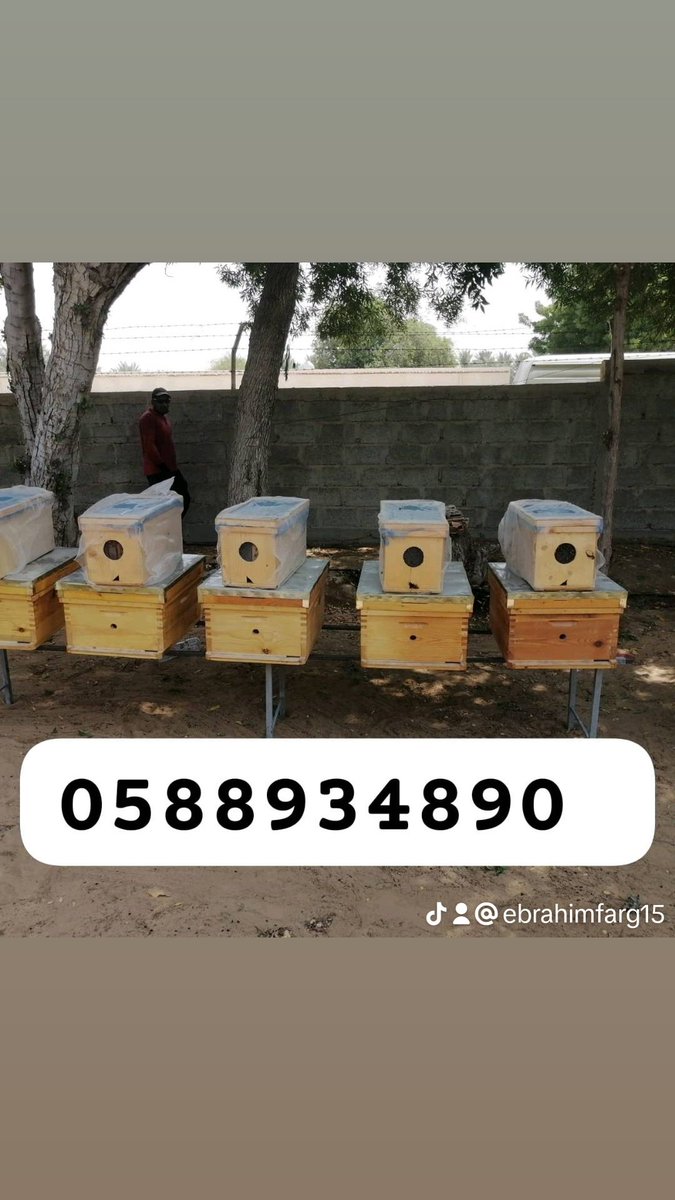 #الامارات_العربية_المتحدة #مناحل #عسل #نحل نعمل في مجال النحل وانتاج العسل والإشراف عليها وتجهيز مواقع النحل للتواصل 0588934890