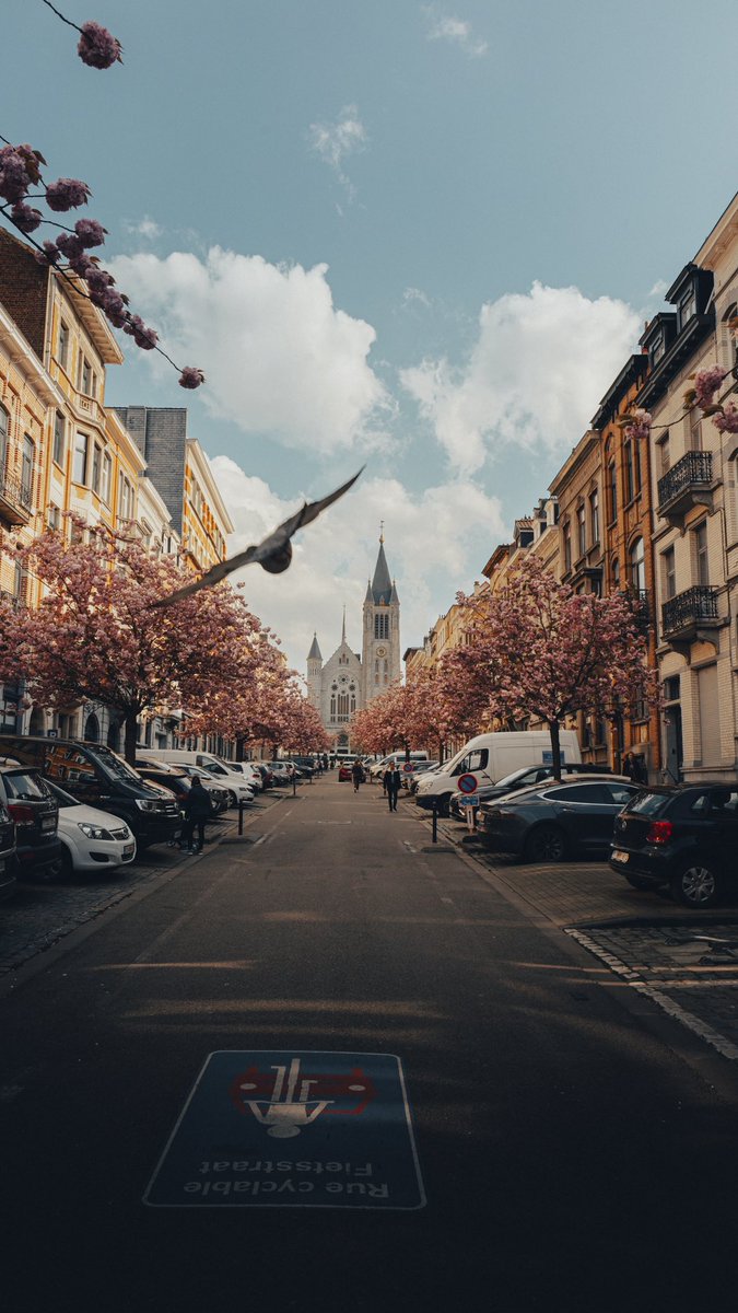 <a href="/Lightroom/">Adobe Lightroom</a> That bird was totally unexpected 🤭🥰