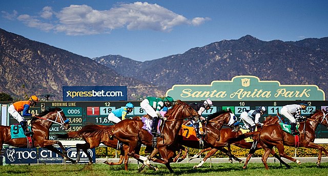 BloodHorse's tweet image. $3 All-Turf Pick 3 Added to Santa Anita Wagering Menu bit.ly/3sX4gaE #Handicapping