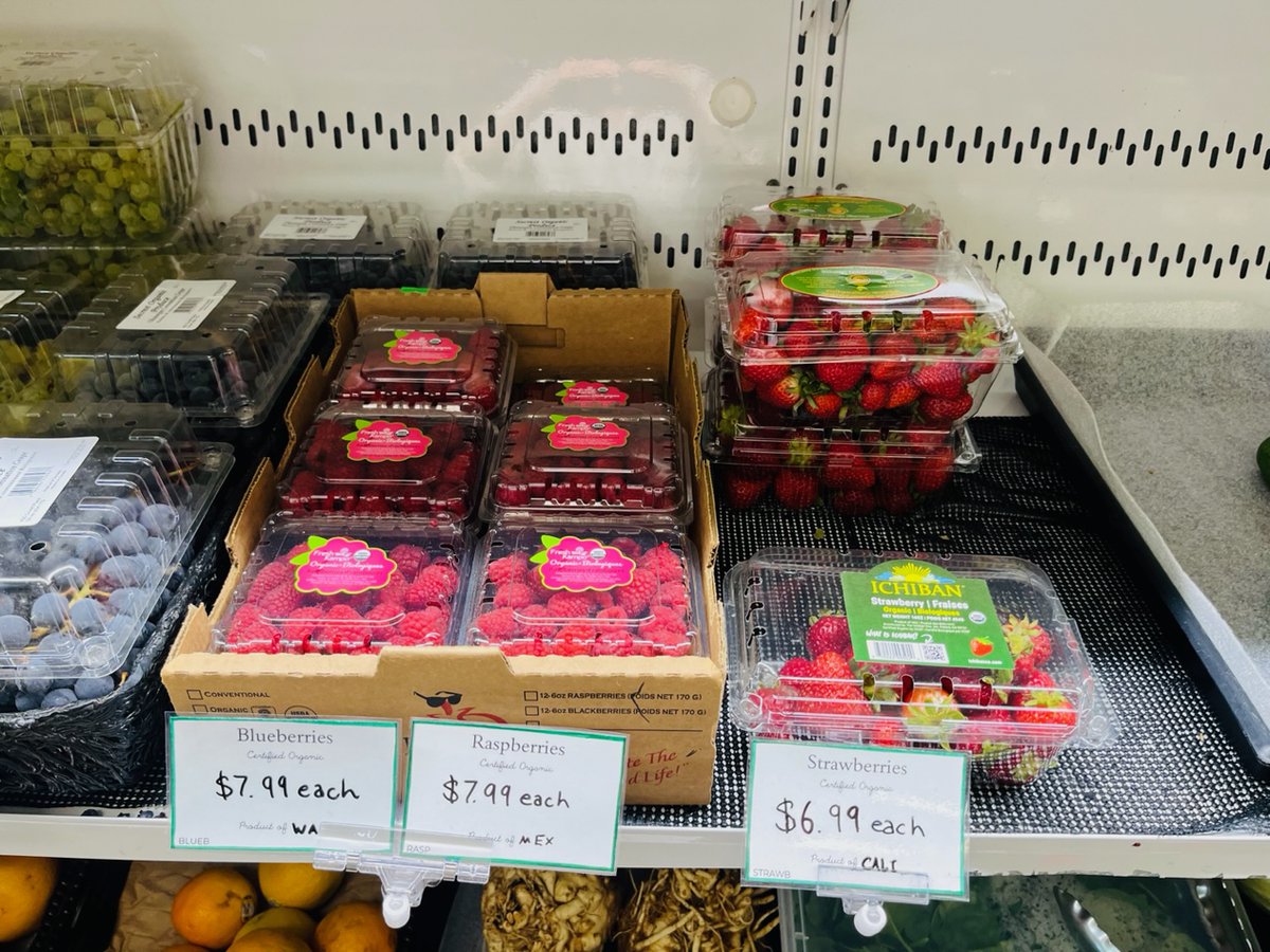 Earth's General - Waste Reduced Store tweet media