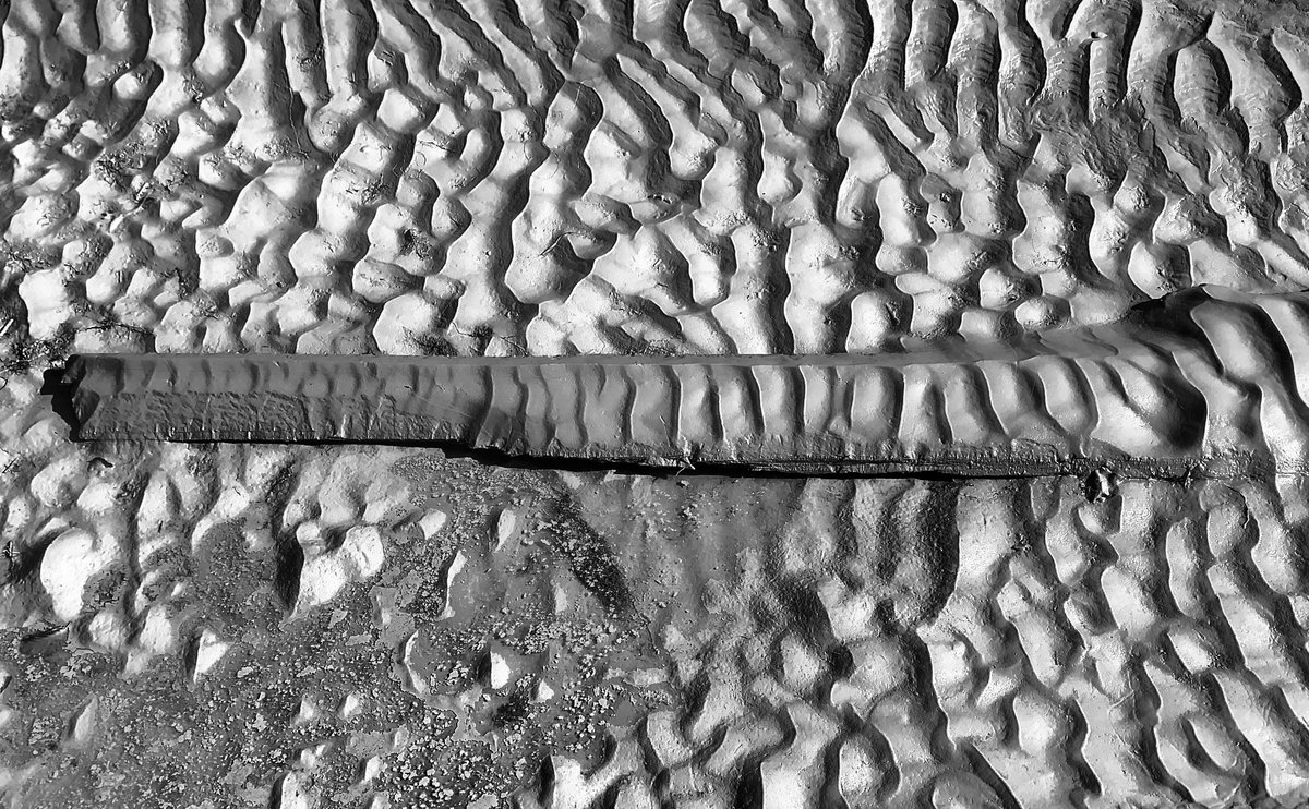 Jim Best (@khwave) on Twitter photo Ripples in silts passing over some woody debris, Lillooet River, Canada. Interesting to think about lateral continuity of ripples in presence of this woody roughness element! Ripples in silts passing over some woody debris, Lillooet River, Canada. Interesting to think about lateral continuity of ripples in presence of this woody roughness element!