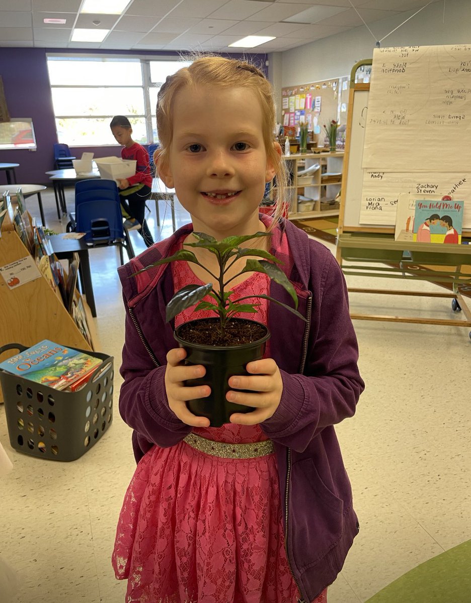 Mrs. Sanchez (Spratt) tweet media