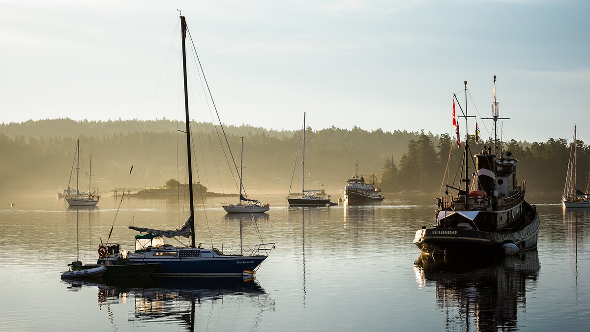 Stay safe while navigating BC's Coastal Waters. Find safe boating resources & links for boating licenses, Fisheries and Oceans Canada Chart Index, marine forecasts & more. 📷 Salt Spring Island | Destination BC/Reuben Krabbe bit.ly/45WQVh6 #ahoybc #boatingbc #explorebc