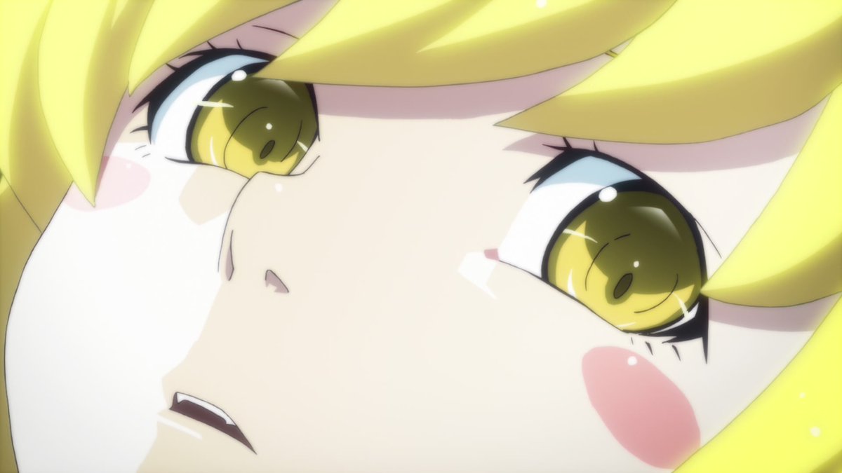 Ah, if it isn't the cat. As energetic as ever, are ye not.