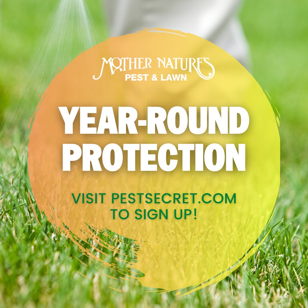 MotherPestOK's tweet image. Protect your home in the winter to avoid problems in the summer. Being on a quarterly spray program will help you stay pest-free all year long. Contact us today to sign up!

#PestControl #YearRoundProtection