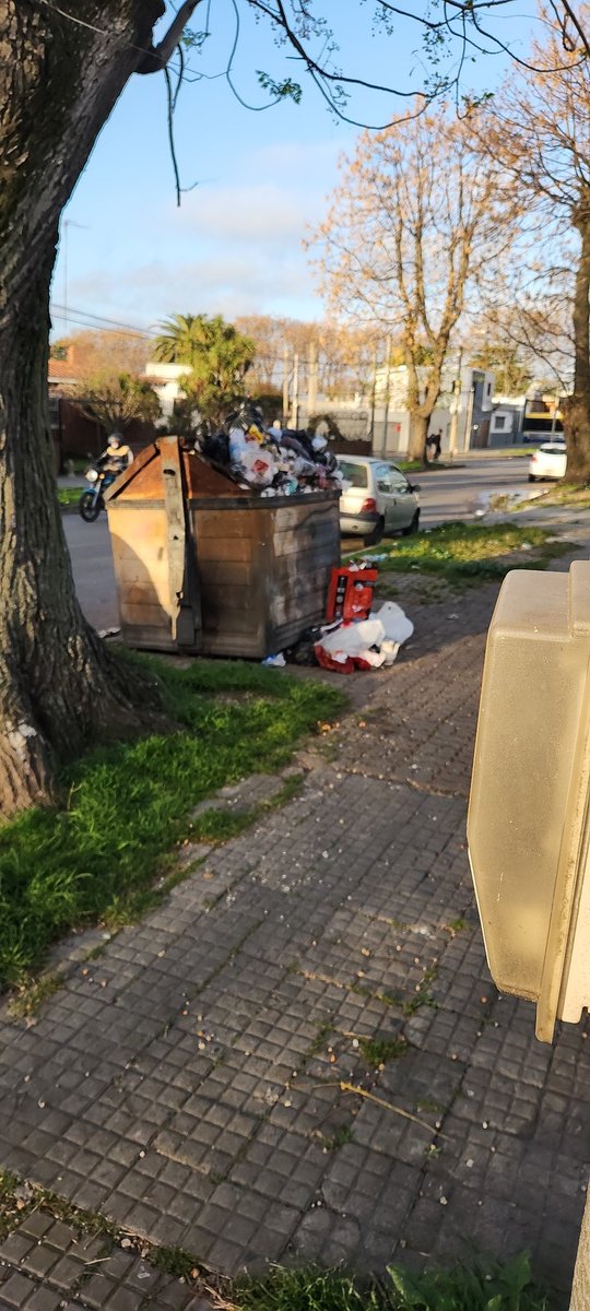 pferrodriguez's tweet photo. @gmonce estimado me debo en la obligación de escribirle, ya que hace 5 días que no levantan la basura del contenedor ubicado en la puerta 3810 calle y realmente es vergonzoso el estado de la misma, las ratas juegan carreras y con los hurgadores es imposible. https://t.co/2Mi5TENX7d