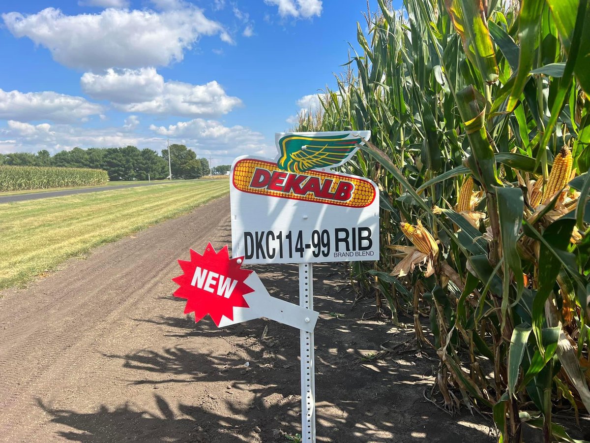 DEKALB Asgrow NIL tweet media