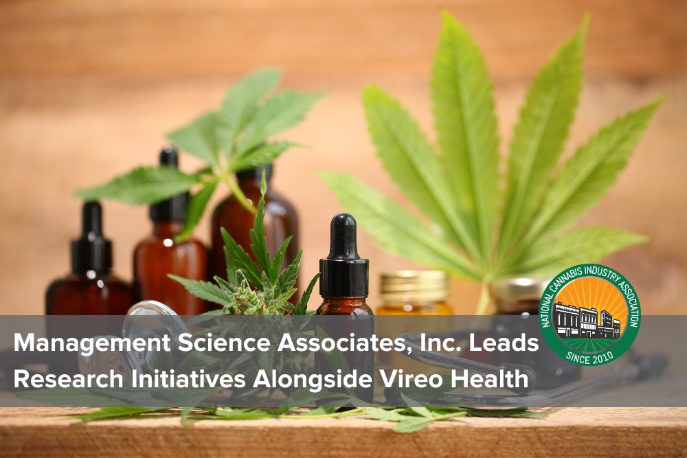 NCIAorg's tweet photo. Explore cutting-edge research in our latest #IndustryInsights blog from Seedling member Management Science Associates. Learn more at https://t.co/iPtFtJlfyB
#CannabisResearch #MedicalCannabis #MSAStudy https://t.co/TXCJM7A4WR