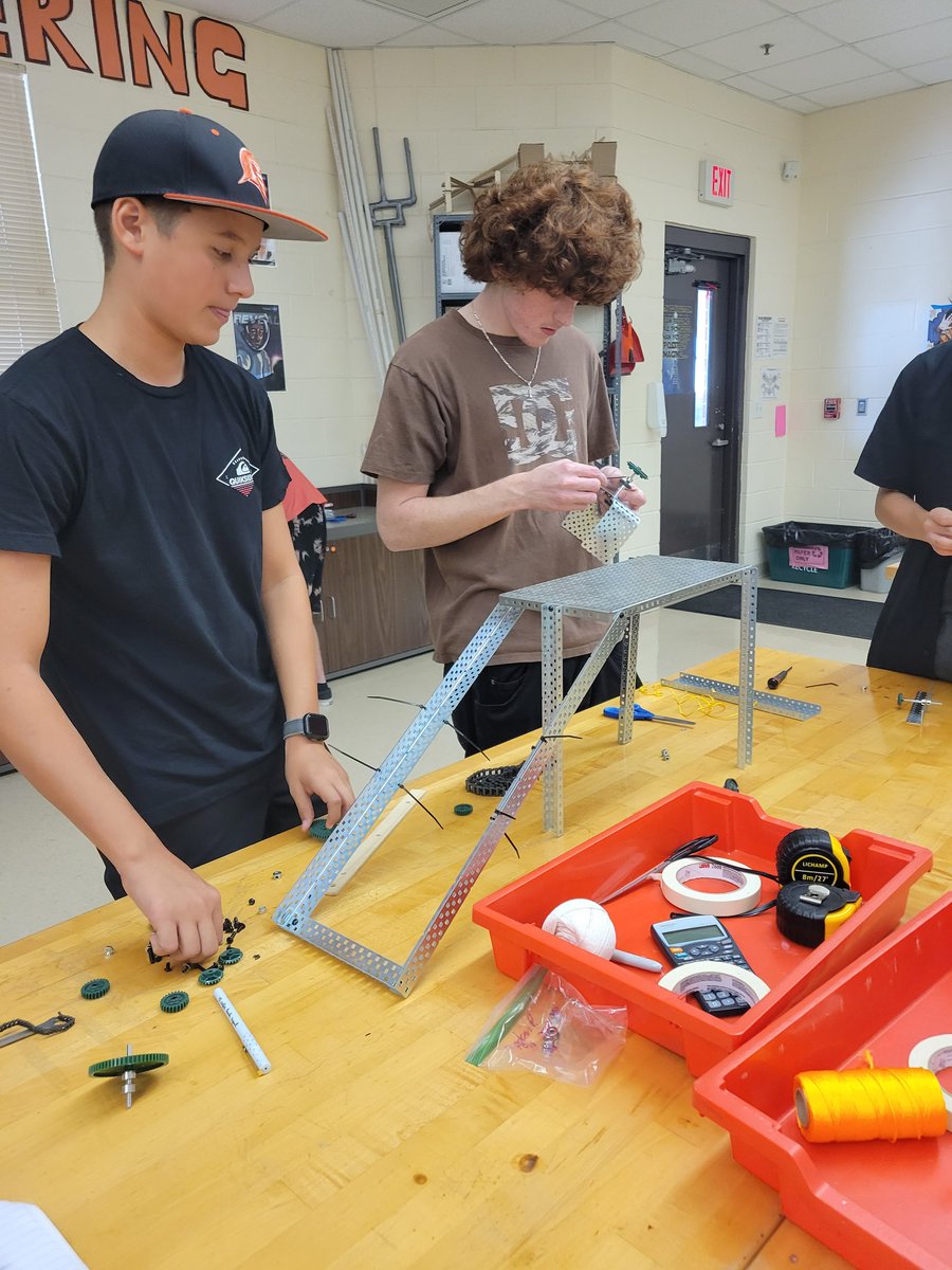 Maureen Ziemba Mack tweet media