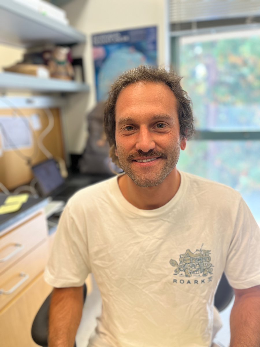 David Bilder tweet media