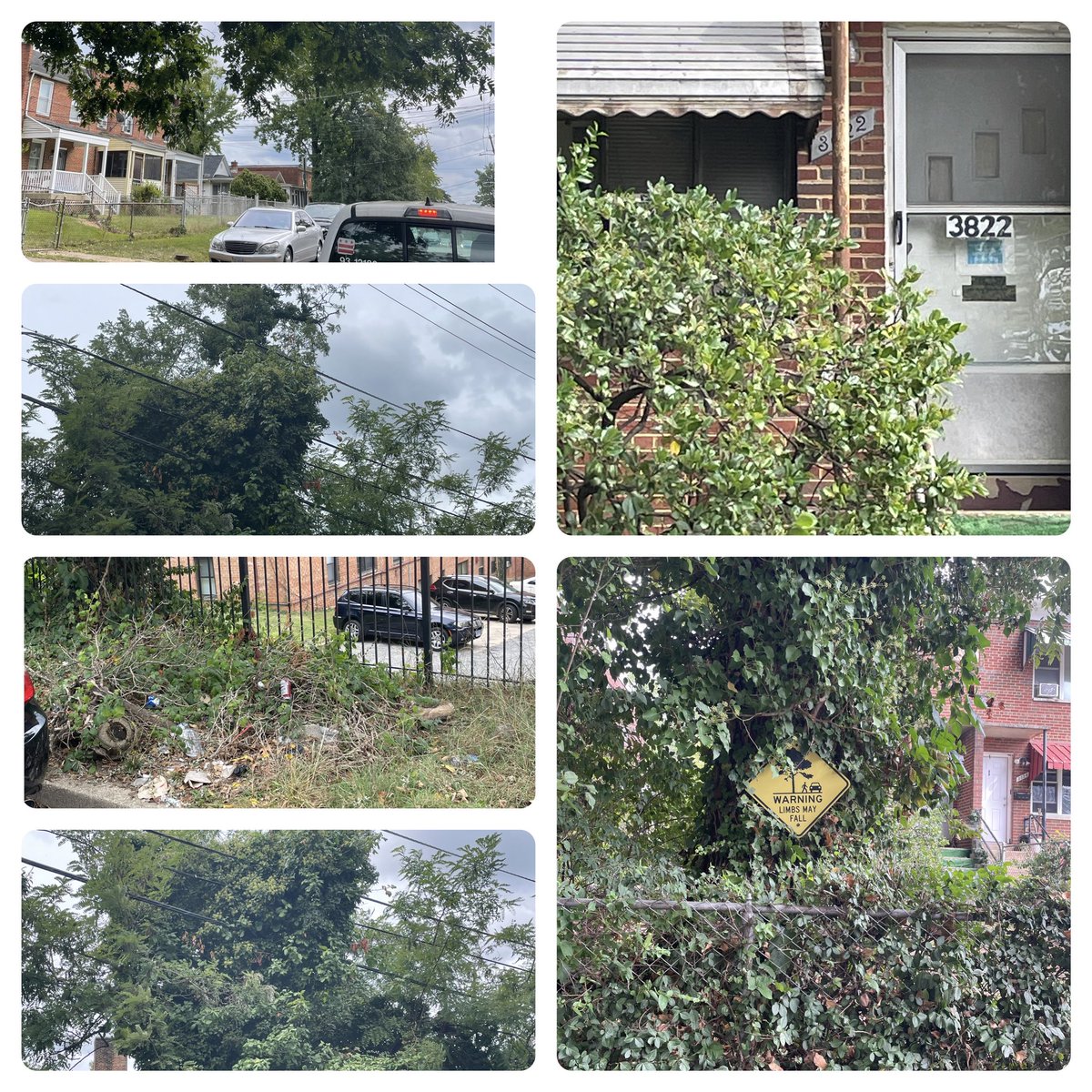 ward8mocrs's tweet photo. In MOCRSville — No matter the Ward, No matter the Weather every Tuesday and Friday … the #SWEEP must go on, our neighbors, business owners, visitors and DMV friends depend on #MOCRS to keep the “city clean” next time you see us - join us! 311 is our partner to put in and process https://t.co/cFf1hXgETR