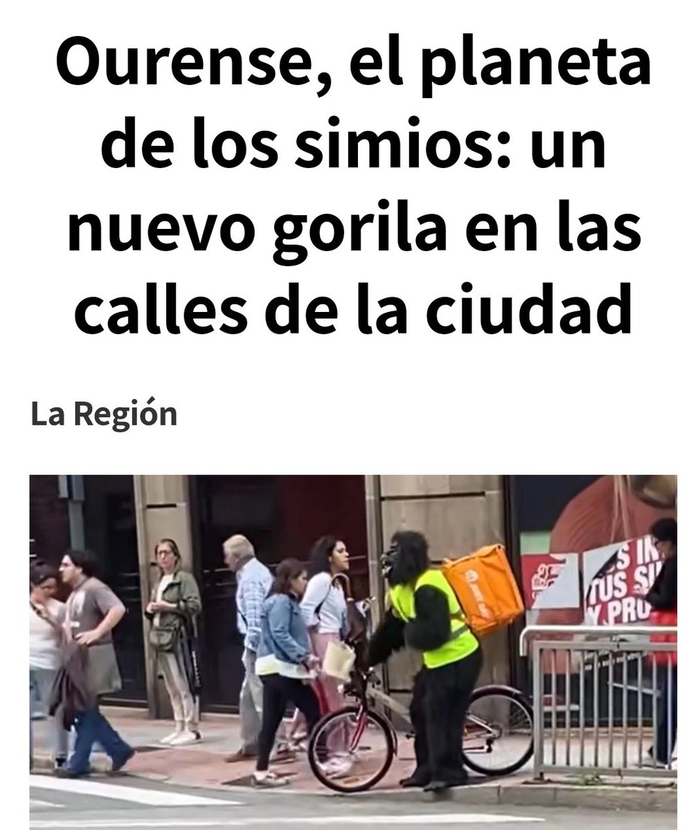 elgrandiscolo's tweet photo. Gorilas en la niebla. https://t.co/xo62xEO7CS