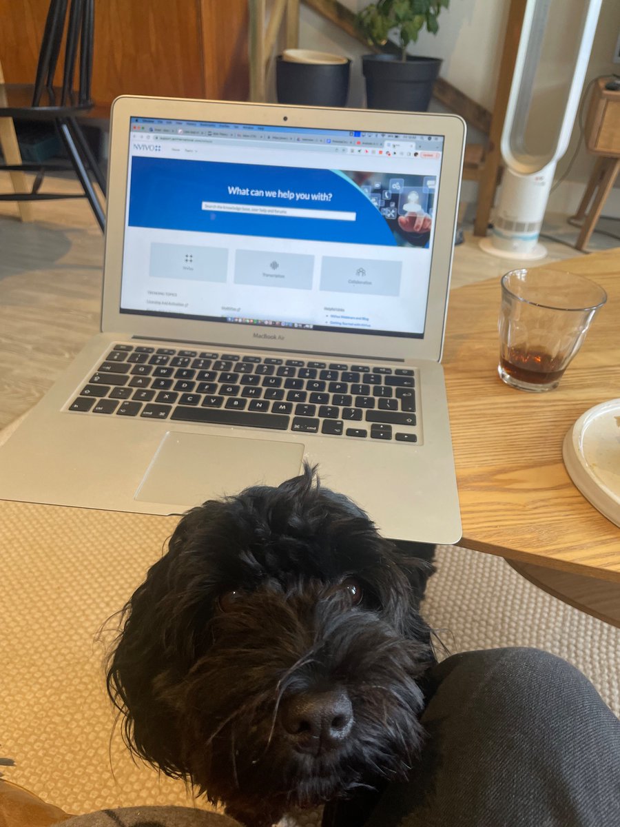 grace_research's tweet photo. My terribly behaved colleague is trying her best to distract me from getting to grips with @NVivoSoftware 🐶 

#phdlife #phdchat #nvivo https://t.co/QXr7hEoGak