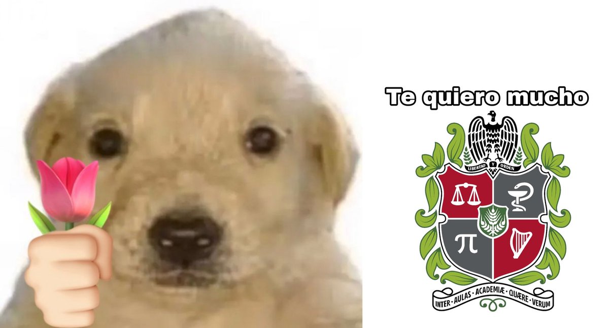 Jose_Mendez27's tweet photo. Yo rajando de la U desde que entré por qué me ha hecho la vida cuadritos*
Hoy que está de cumpleaños: https://t.co/aRapQ0ccg9