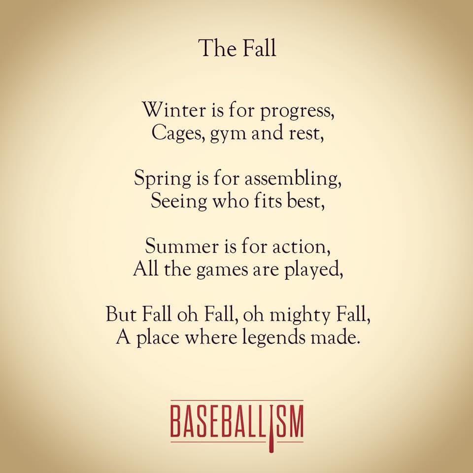 ABYouthBaseball's tweet photo. 🍂🍁 Happy Autumn 🍁🍂 https://t.co/p33MzbcsBe