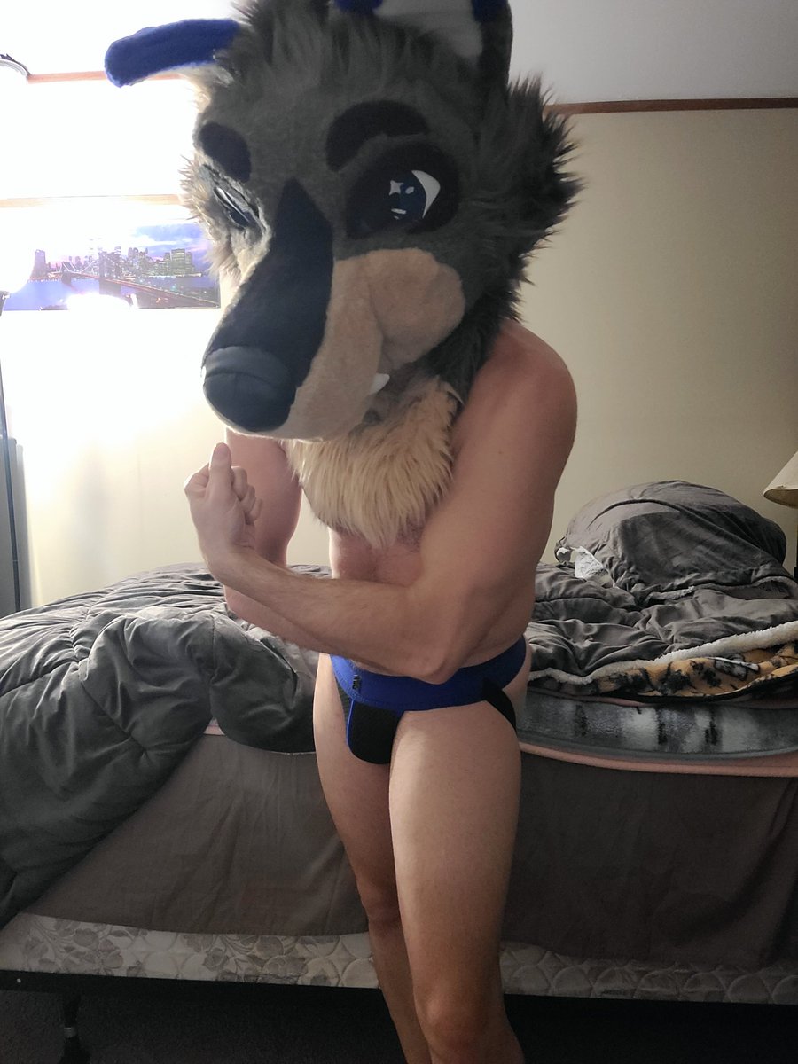 NovakInTheDark's tweet photo. Just a wolfdog doing his best to take some progress pics. No one said he was the best with technology 🤷‍♂️ https://t.co/d6Pja0oxDf