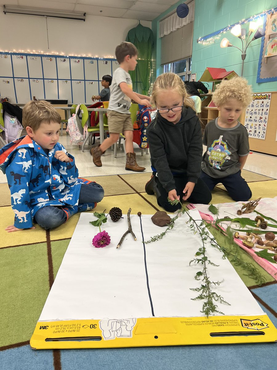 Mary Dodson tweet media