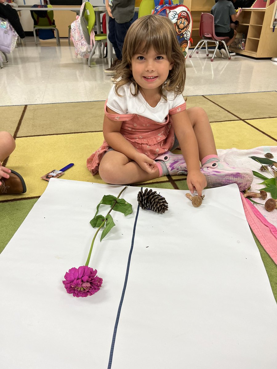 Mary Dodson tweet media