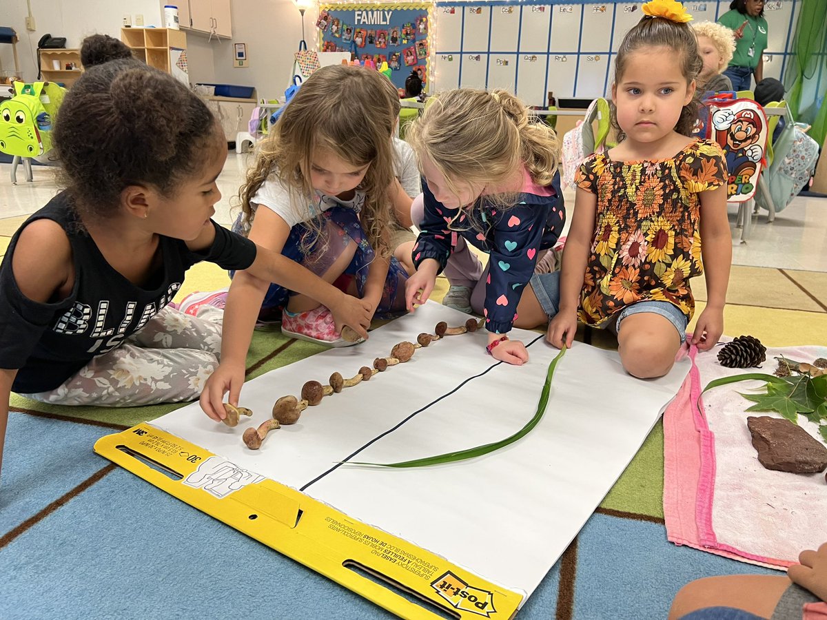 Mary Dodson tweet media