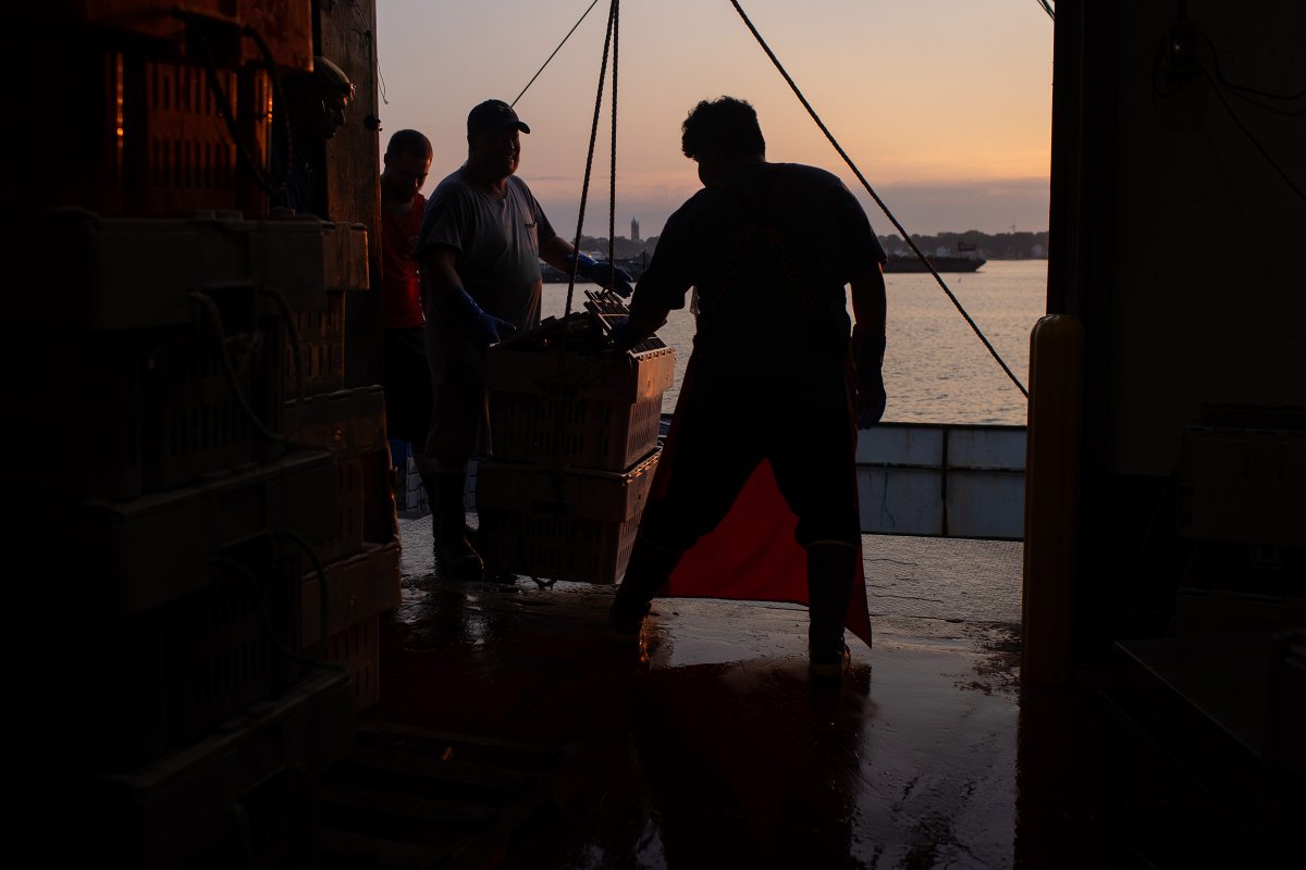 OSMediaRI's tweet photo. For The Weekly Catch today, we talk to the reporters behind "Underage and Unprotected," our 3-part investigation into migrant teens working in New Bedford seafood plants. That and more in this week's episode: https://t.co/4QeUF6sSNk 

#theweeklycatch #underageandunprotected https://t.co/TcrZR9oa65