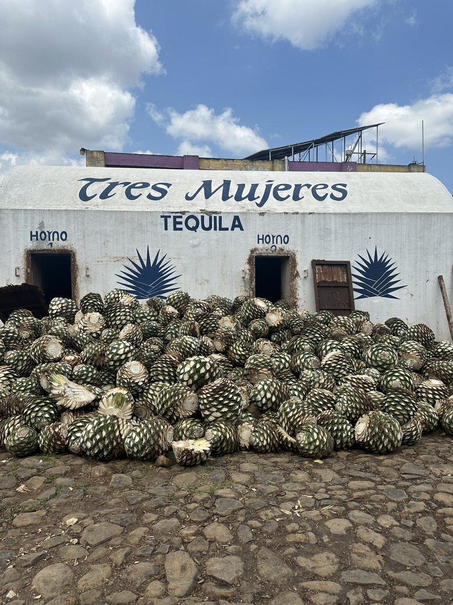 Tequila, Jalisco